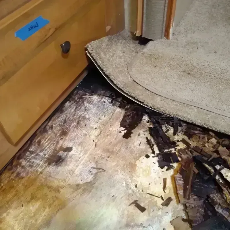 Wood Floor Water Damage in Clarendon Hills, IL